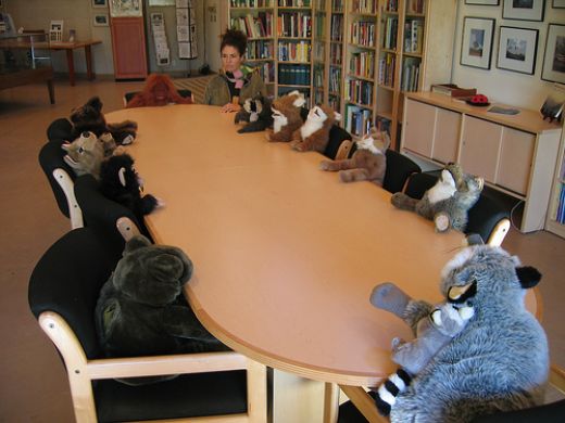 animal meeting