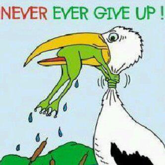 Never Give Up is a vital mindset for business success.